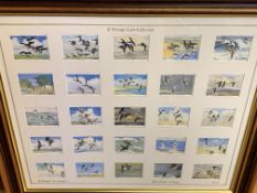 Three framed and glazed John Player & Sons cigarette card collections