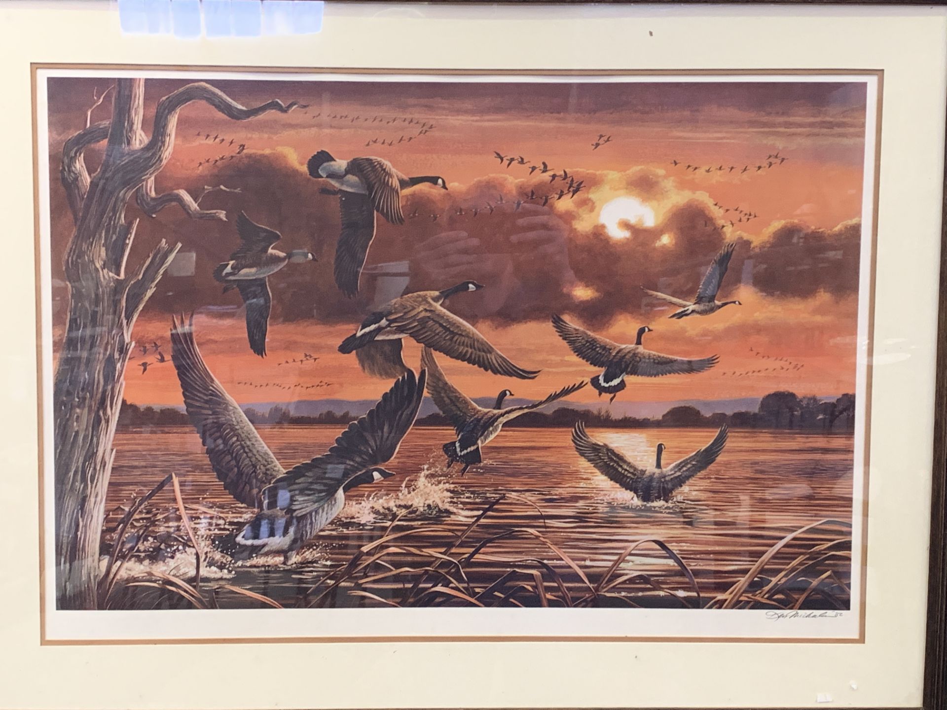 Four framed and glazed limited edition prints of birds, signed Ken Michaelsen - Image 2 of 4