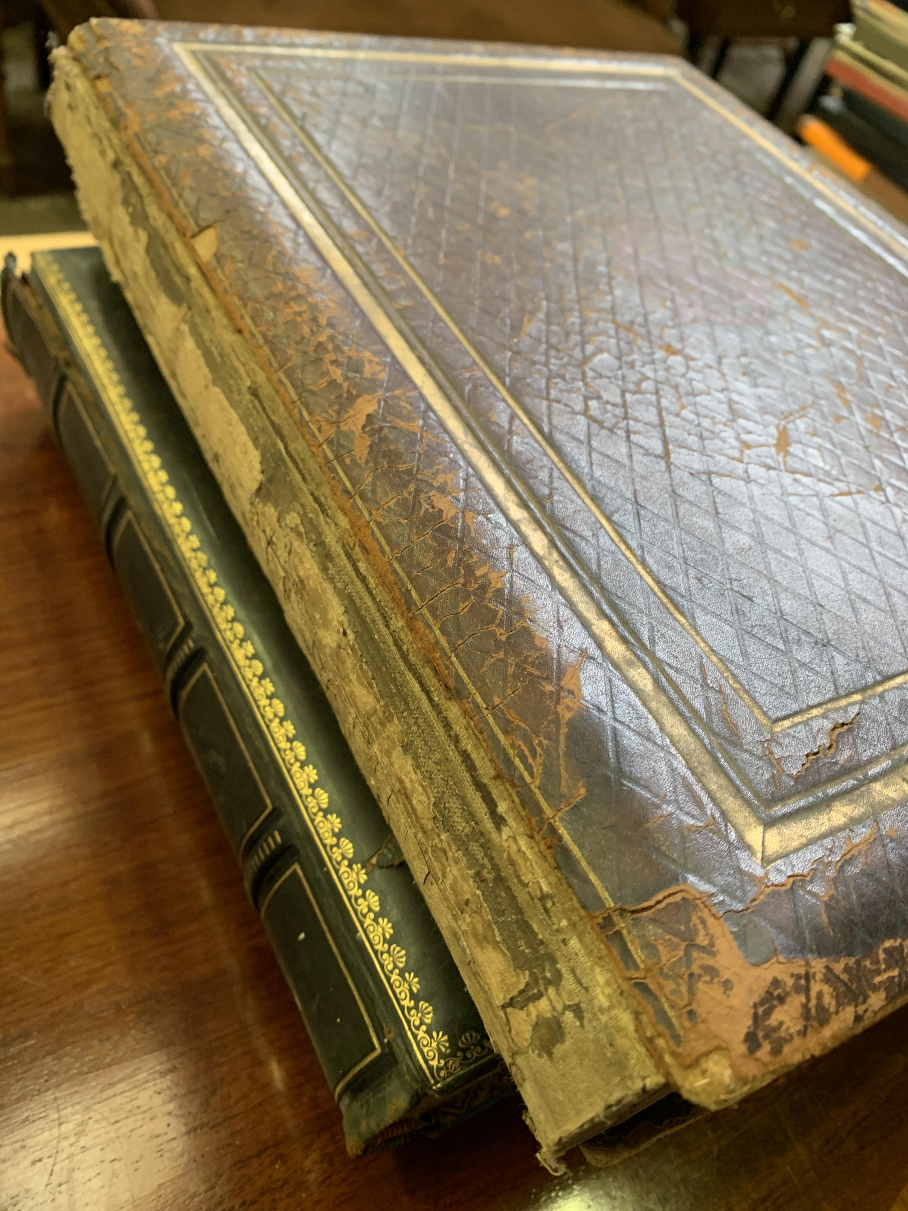 Three leather bound Victorian photograph albums - Image 5 of 12