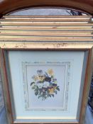 Set of six framed and glazed limited edition botanical prints by Redoute