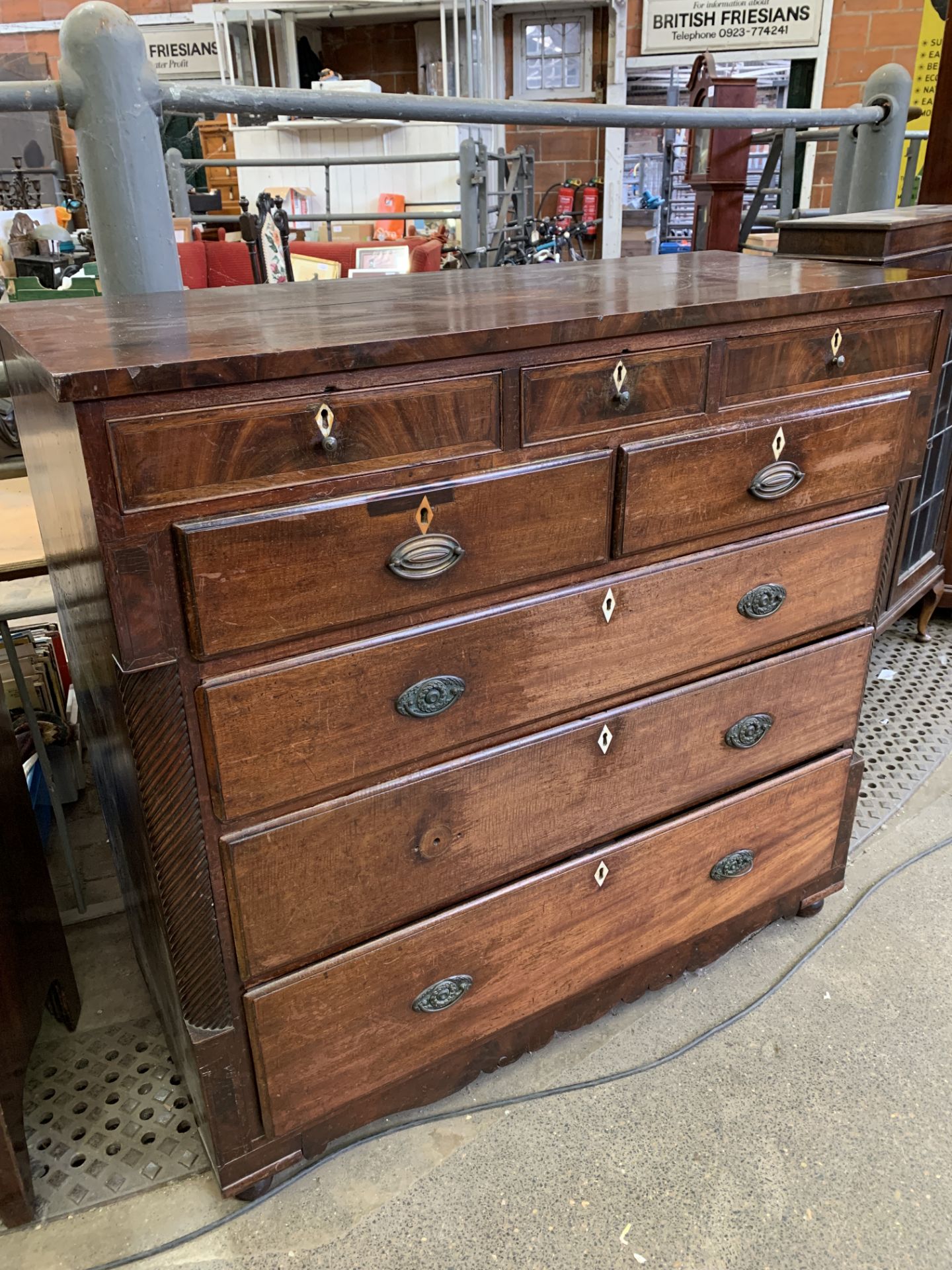Mahogany Scotch chest of drawers