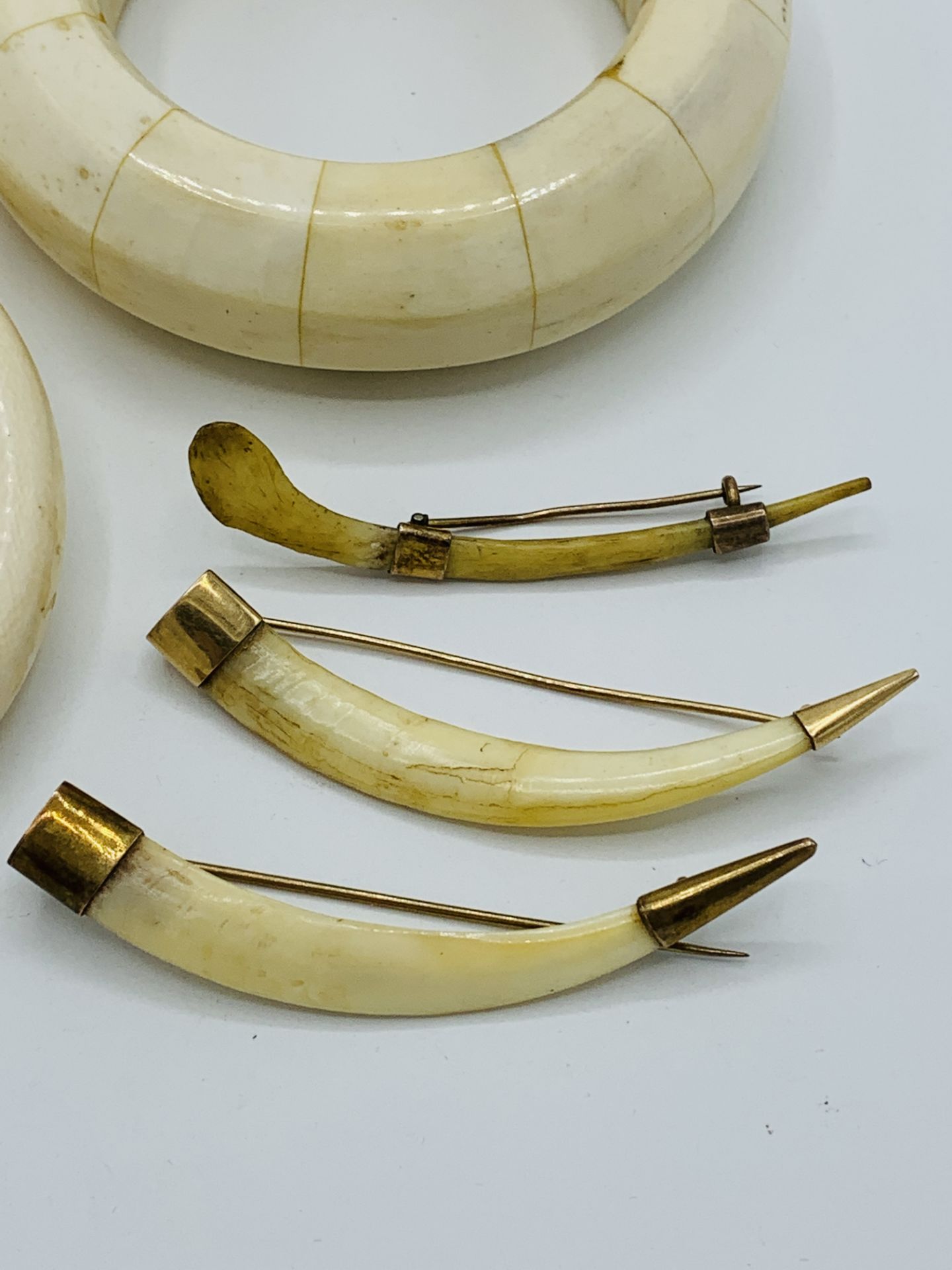 Three bone bangles and 3 yellow metal mounted animals' teeth brooches - Image 5 of 5