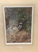 Framed and glazed Fine Art Trade Guild proof print by Archibald Thorburn