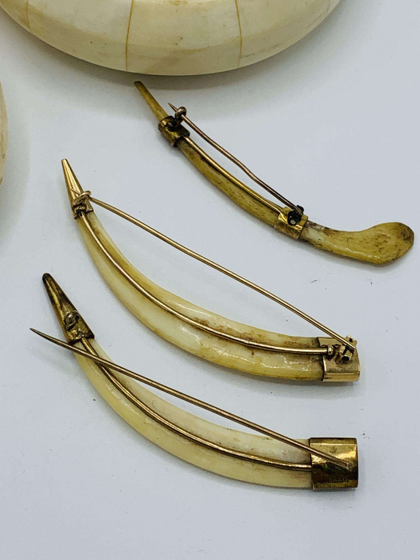 Three bone bangles and 3 yellow metal mounted animals' teeth brooches - Image 2 of 5