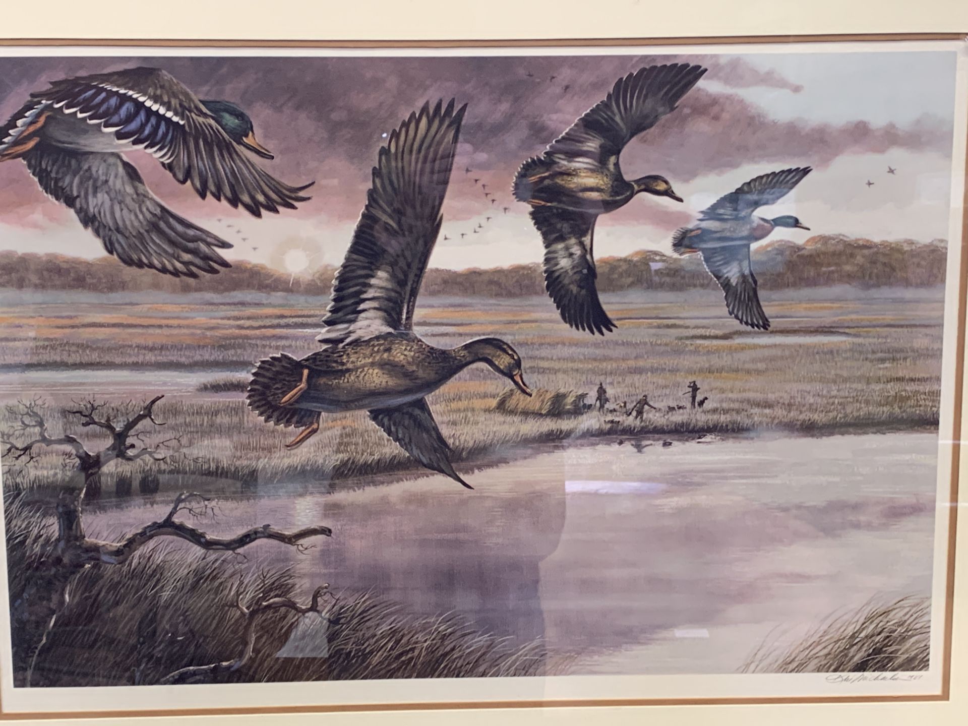 Four framed and glazed limited edition prints of birds, signed Ken Michaelsen - Image 4 of 4