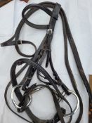 English bridle and reins