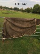 Rambo 6ft 6 ins turnout rug, with three surcingles.