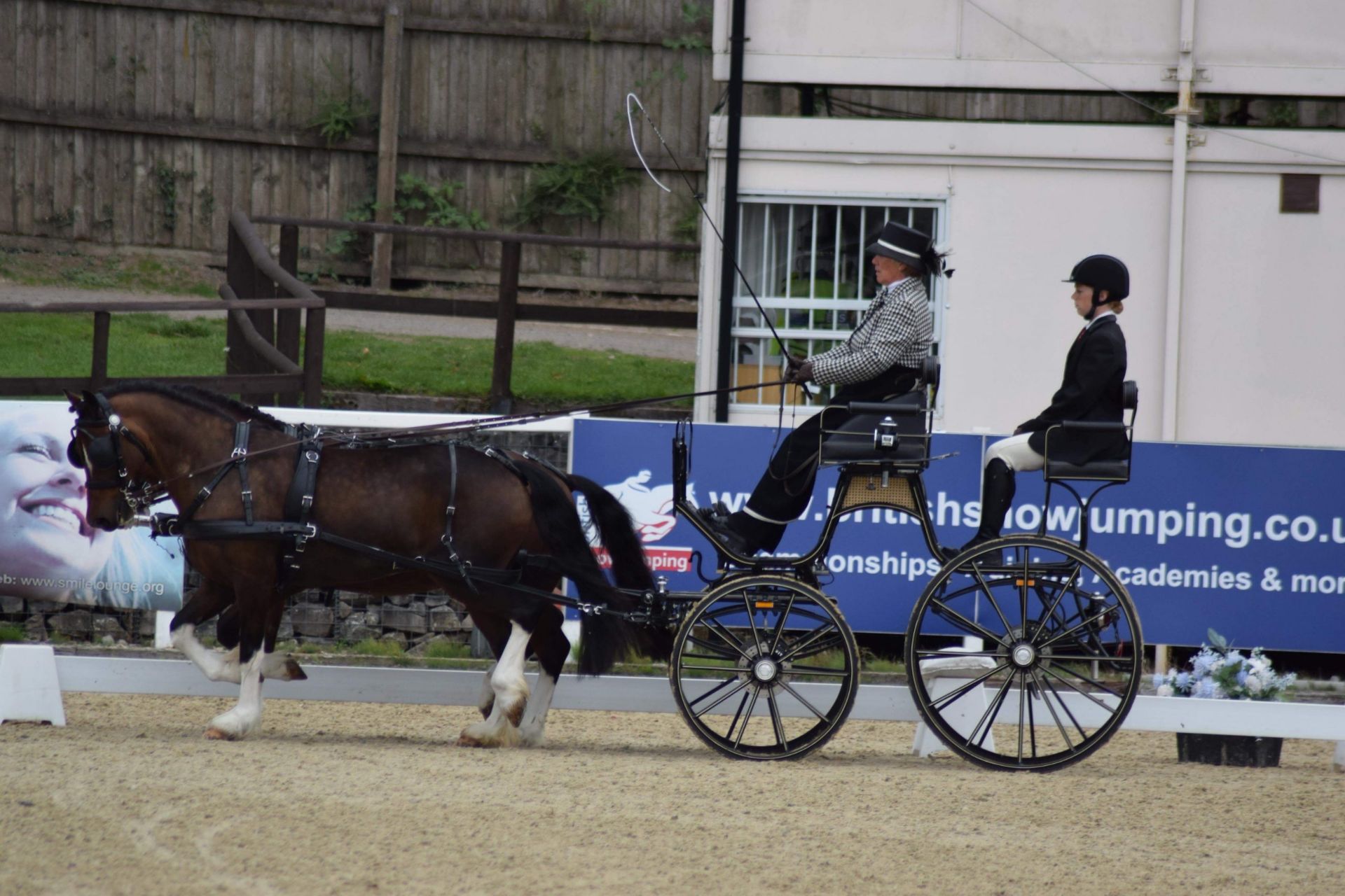 FEI PONY PAIRS SPYDER PHAETON built by Hartland - Image 2 of 3