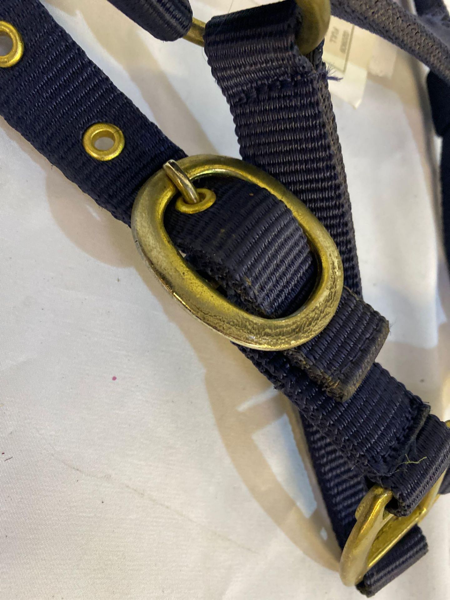 S.T.S Sussex head collar, navy, full size. - Image 3 of 3