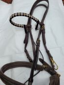 Bridle and reins