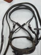 English bridle and reins