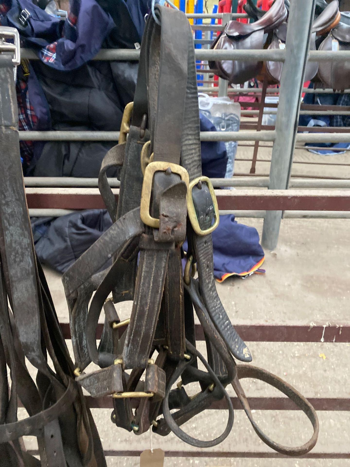 3 leather headcollars.