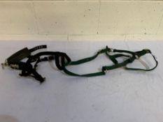 A black lunging halter and green headcollar.