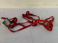 Small red foal halters x 3.