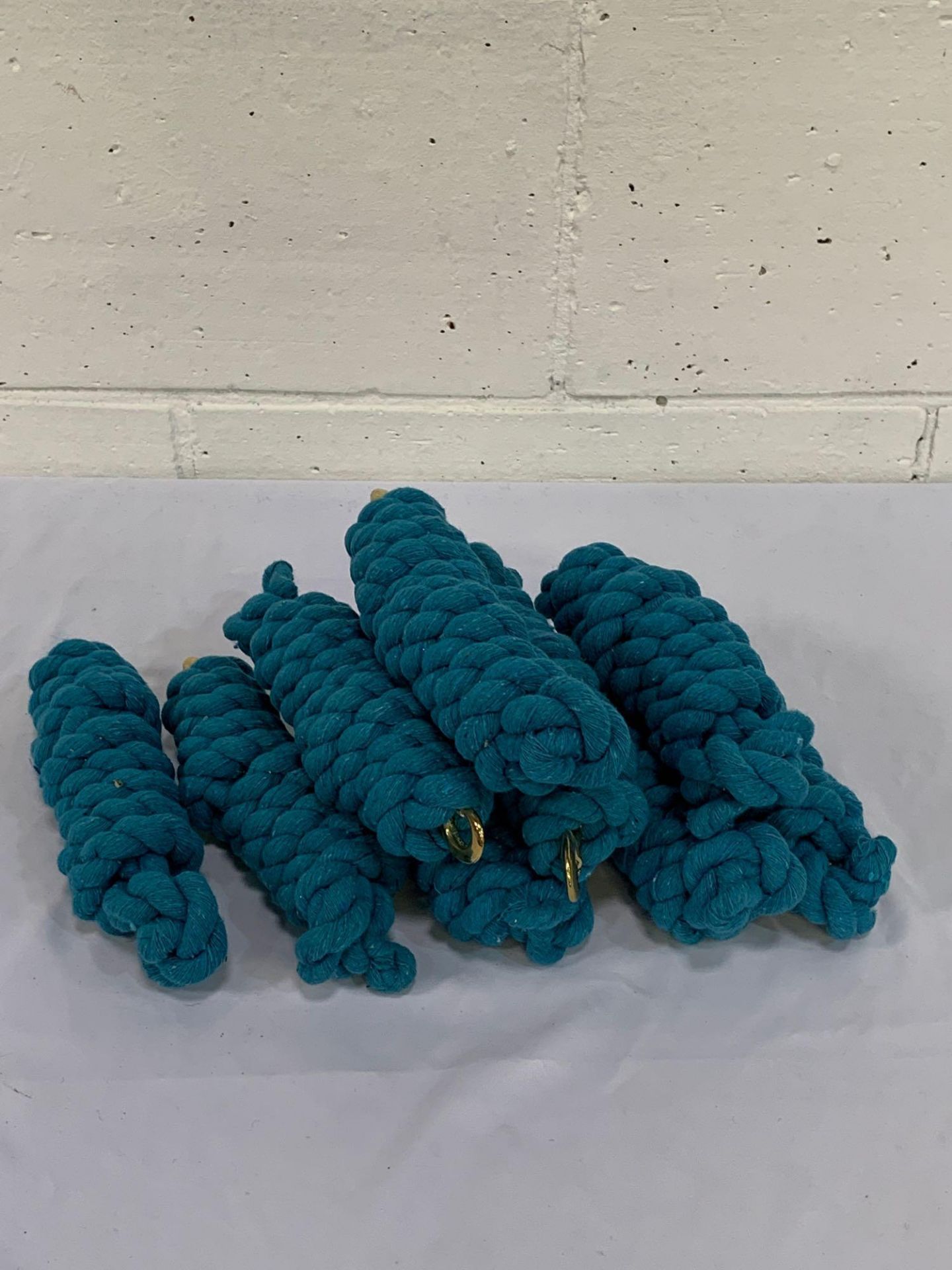 Nine 2m lead ropes, turquoise.