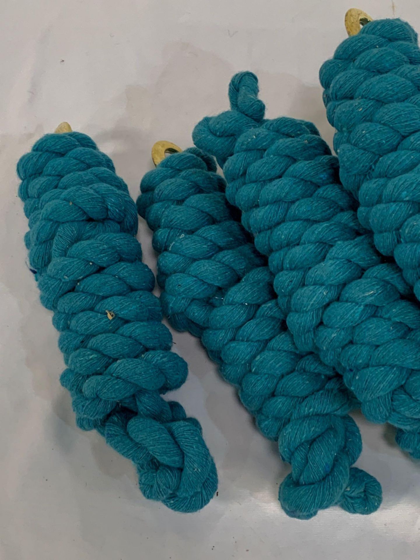 Nine 2m lead ropes, turquoise. - Image 2 of 3