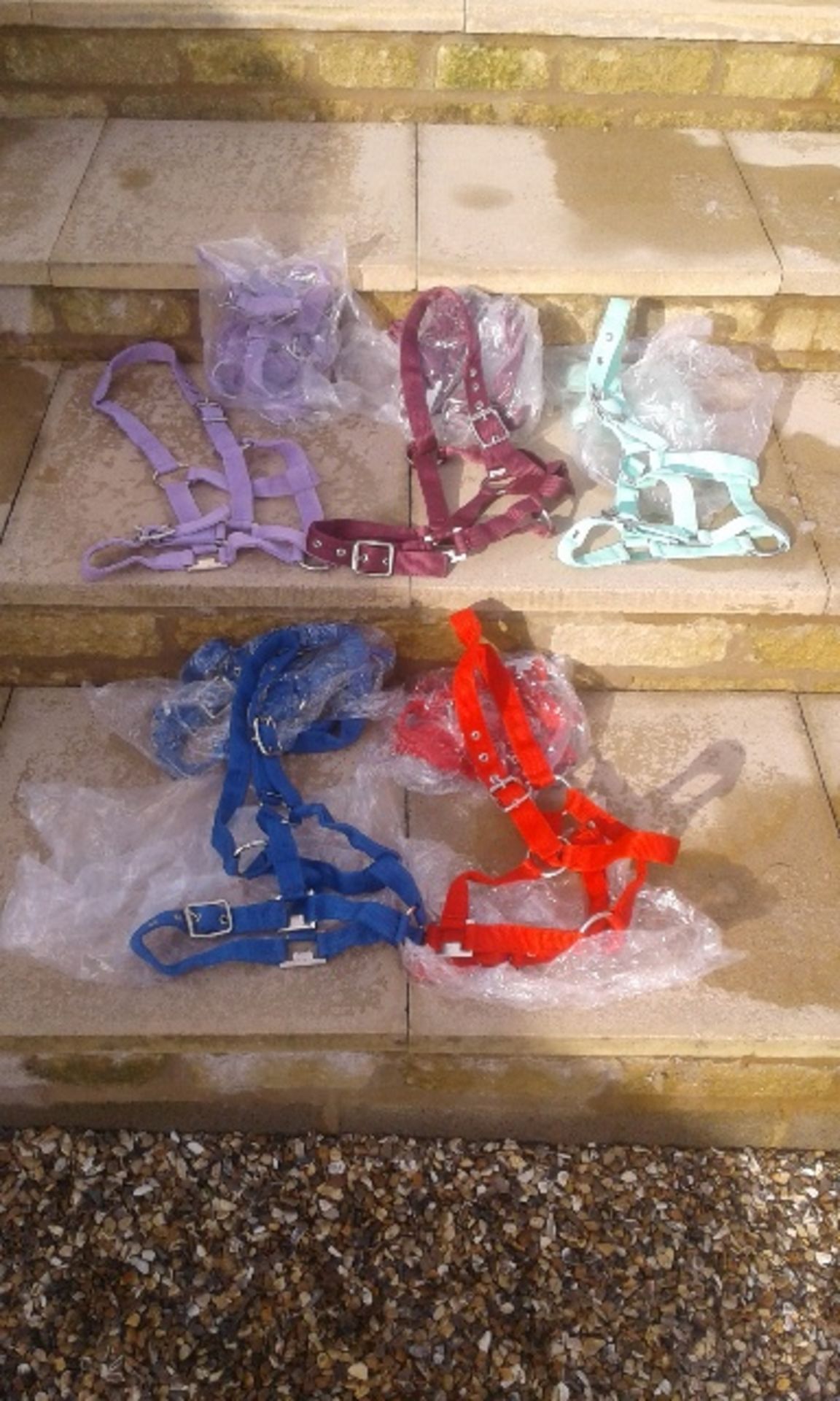 6 pony headcollars; new