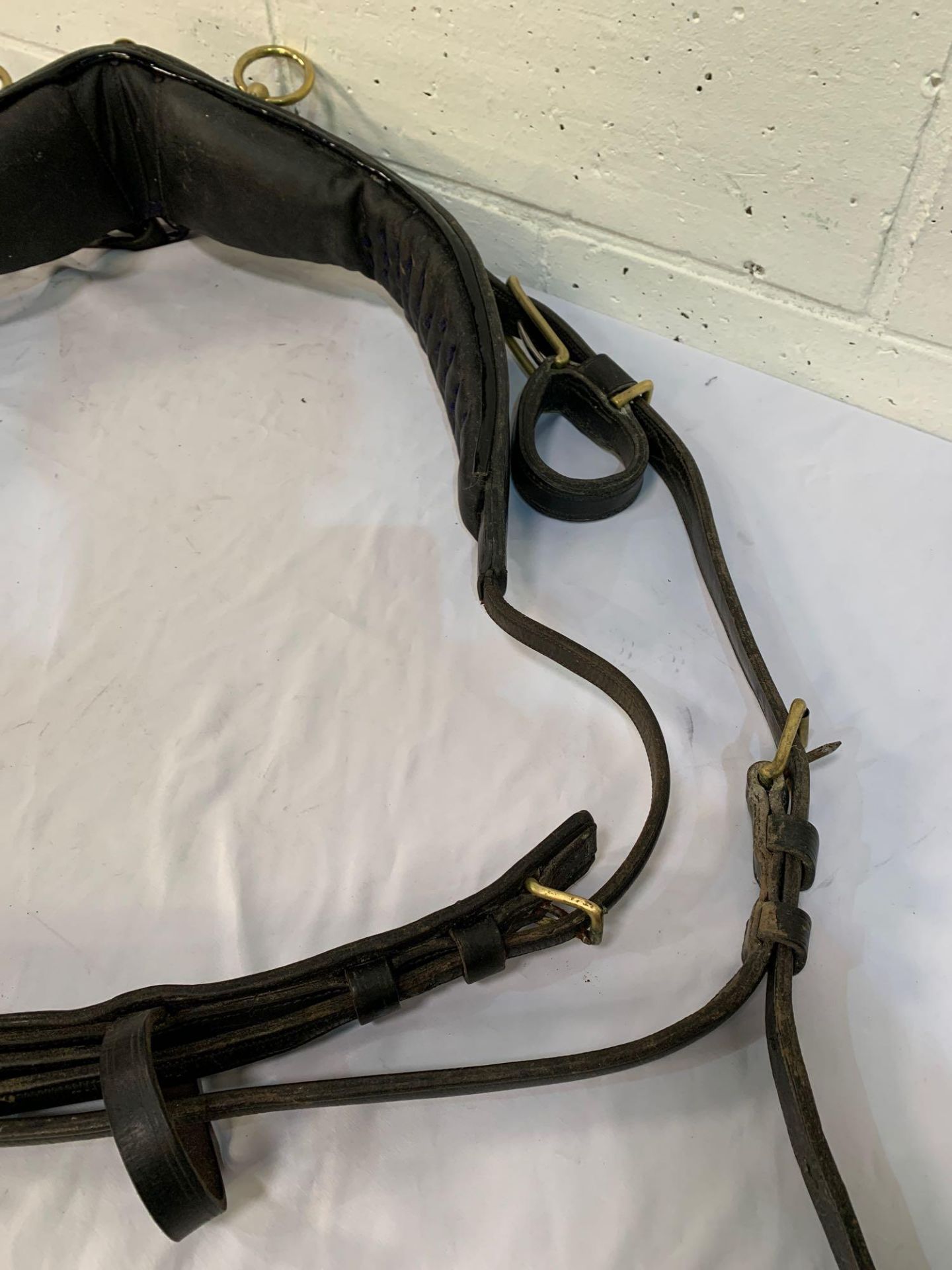 Set of black/patent harness with a 25ins collar to fit a 14hh cob. - Image 11 of 11