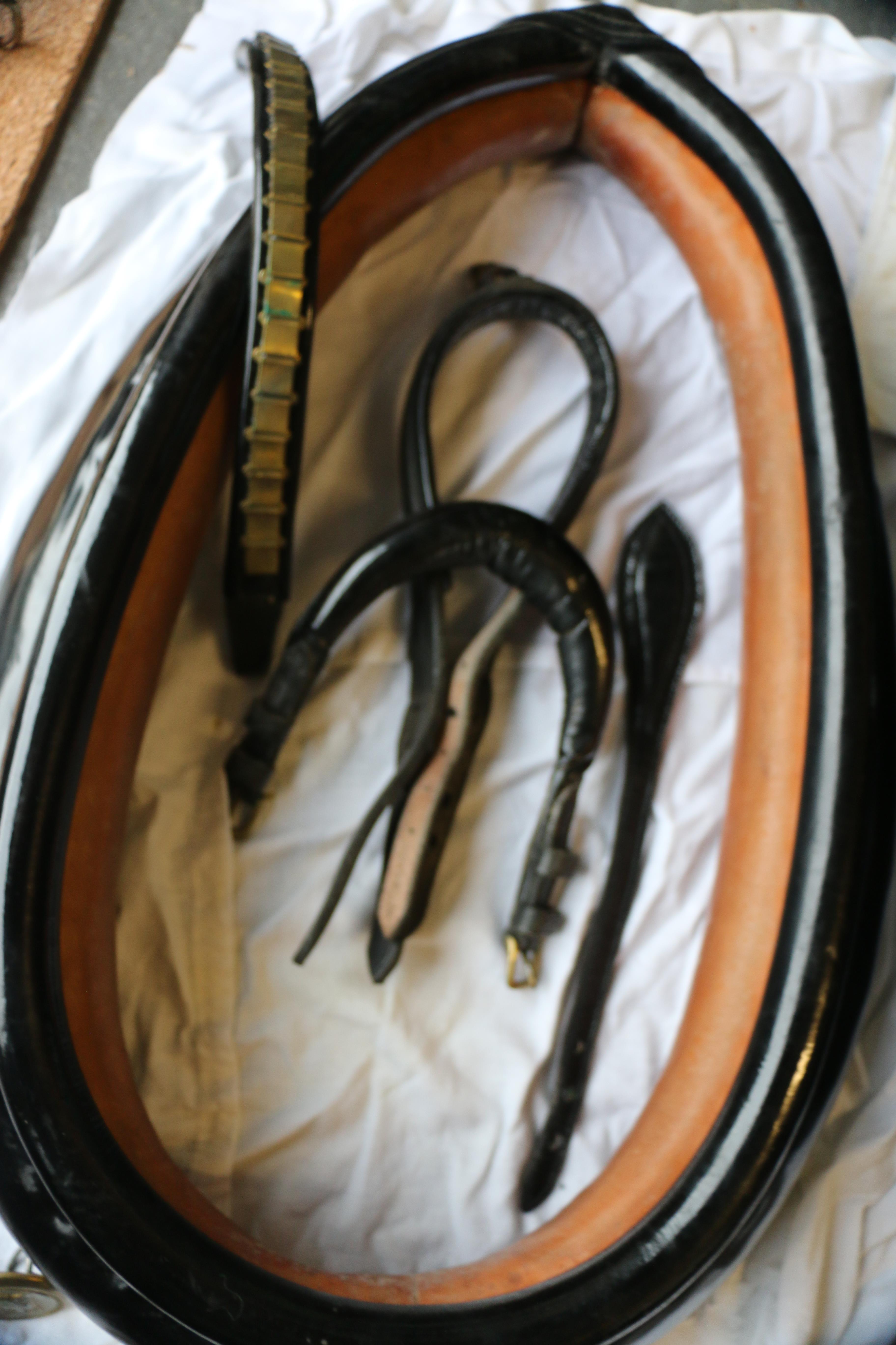 Set of English patent leather harness with 20ins x 9ins collar used on a Welsh Cob. - Image 7 of 12