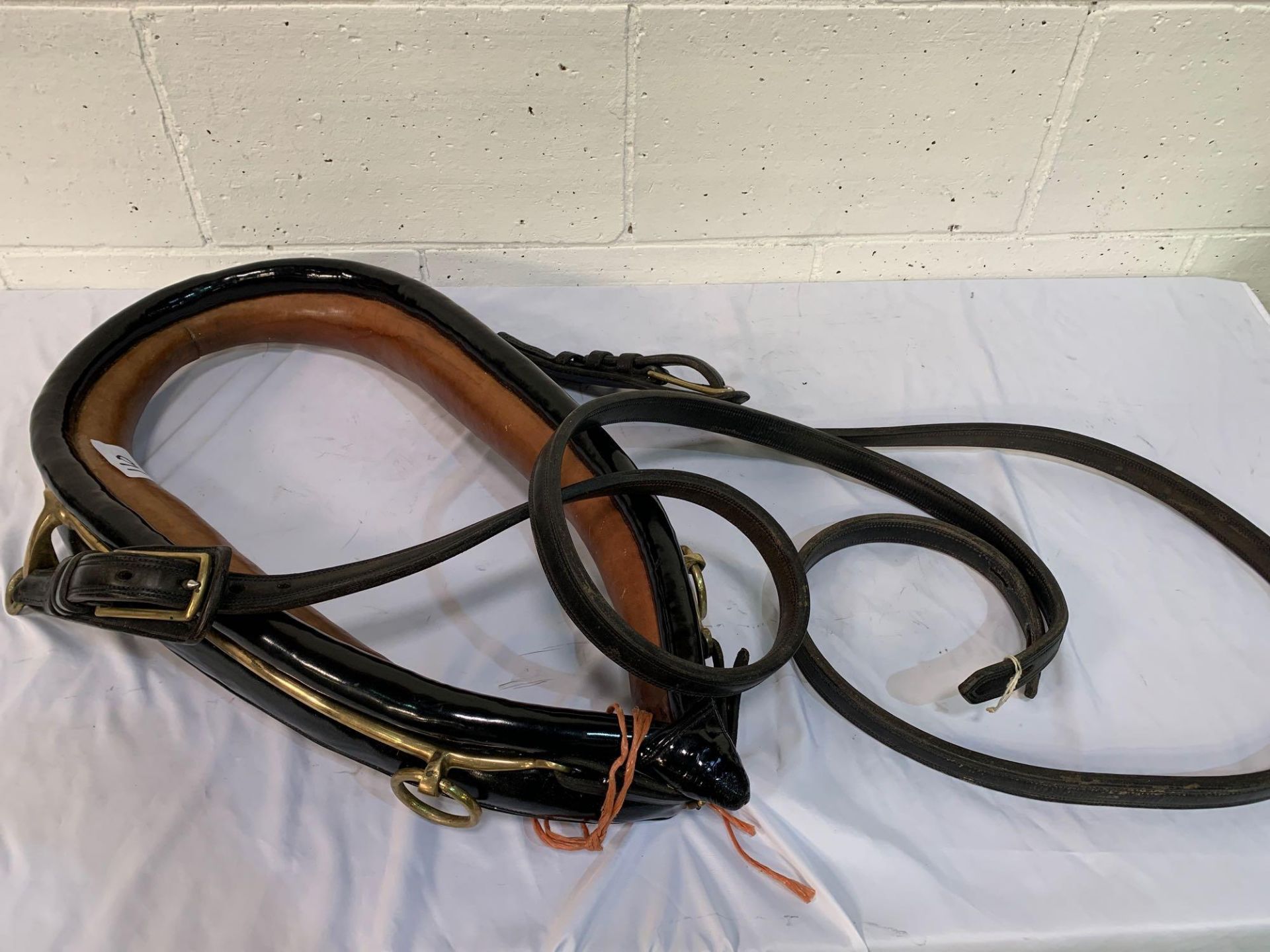 Set of black/patent harness with a 25ins collar to fit a 14hh cob.