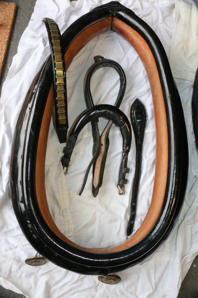 Set of English patent leather harness with 20ins x 9ins collar used on a Welsh Cob. - Image 5 of 12