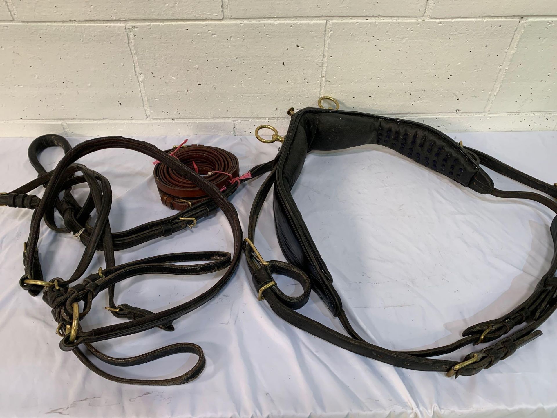 Set of black/patent harness with a 25ins collar to fit a 14hh cob. - Image 8 of 11