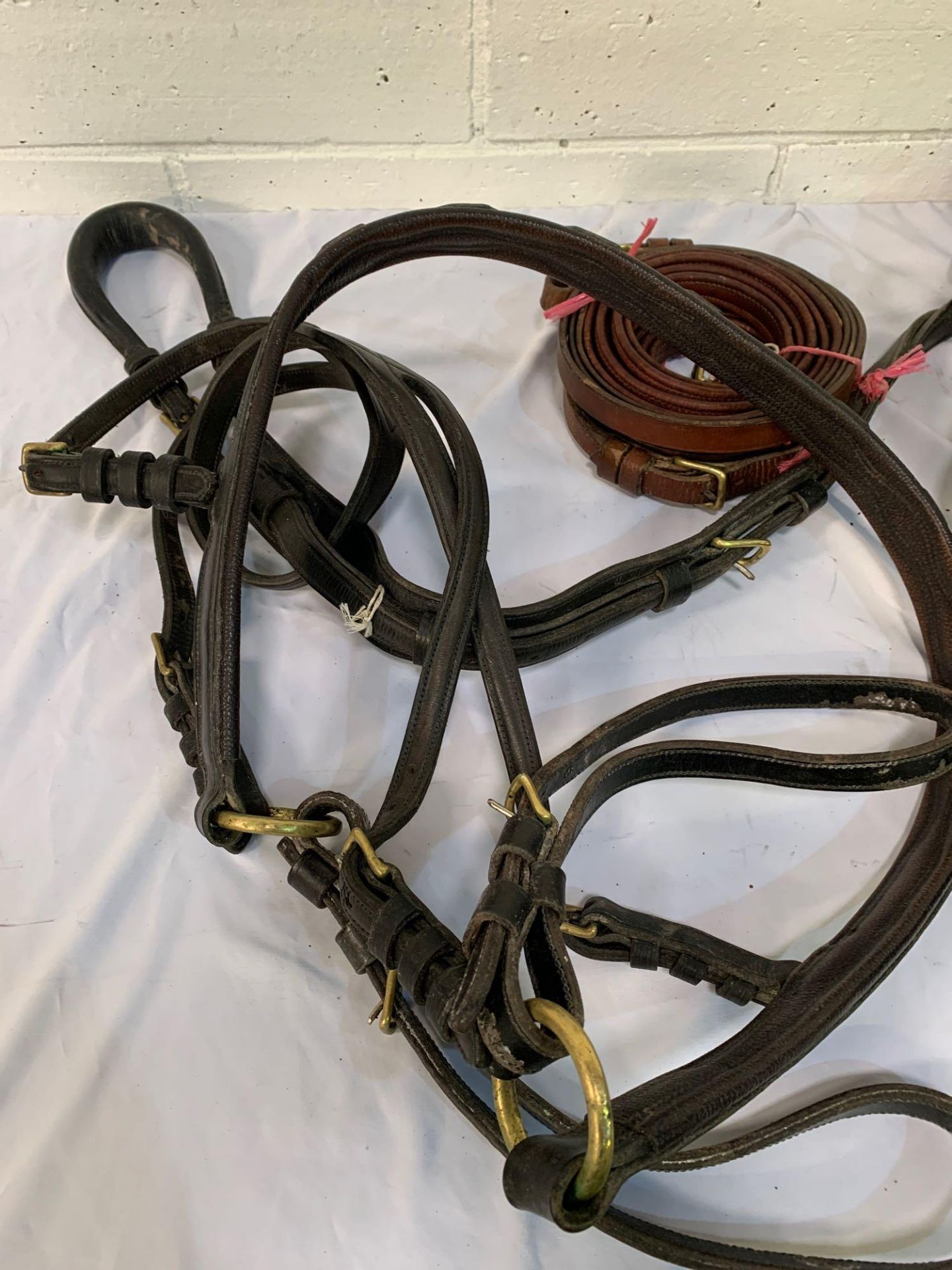 Set of black/patent harness with a 25ins collar to fit a 14hh cob. - Image 2 of 11