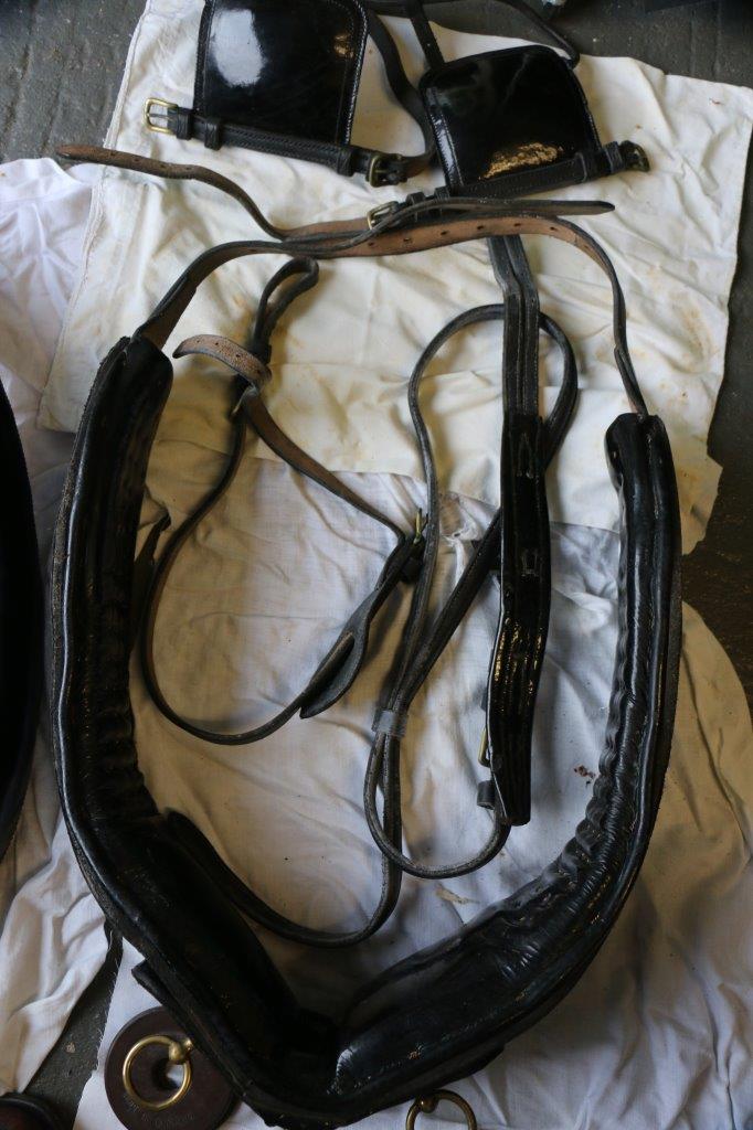 Set of English patent leather harness with 20ins x 9ins collar used on a Welsh Cob. - Image 8 of 12
