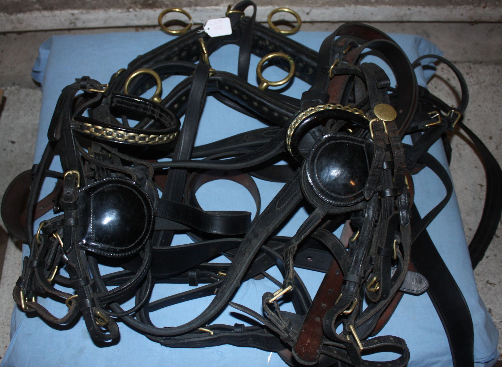 Set of leather pony PAIR harness.