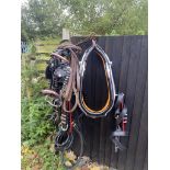 A set of cob size Buckley horse shoe harness, with white metal fittings, in black patent leather