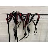 Set of mini Shetland webbing harness. This item carries VAT.
