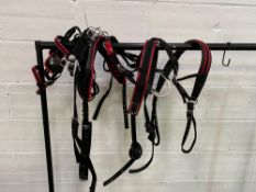 Set of mini Shetland webbing harness. This item carries VAT.