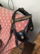 Black patent English leather full size driving bridle.