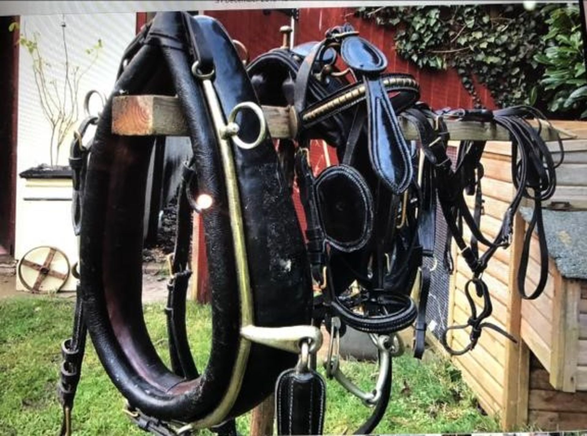 Set of black/brass collar harness to suit 9 to 11hh - Bild 2 aus 2