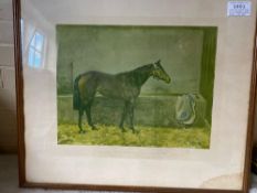 Framed and glazed print of a racehorse: 'Lord Astor's PennyComeQuick