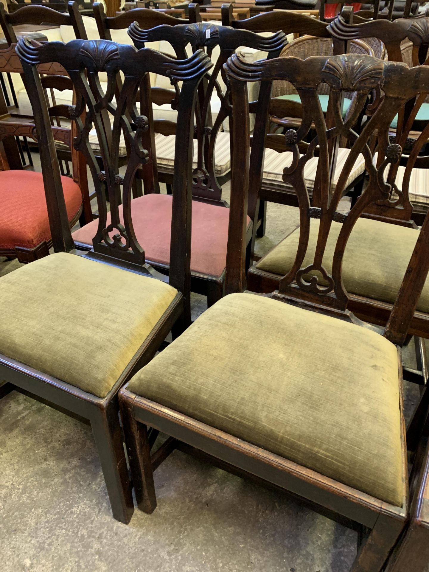 Set of six Georgian-style mahogany framed dining chairs - Bild 11 aus 12