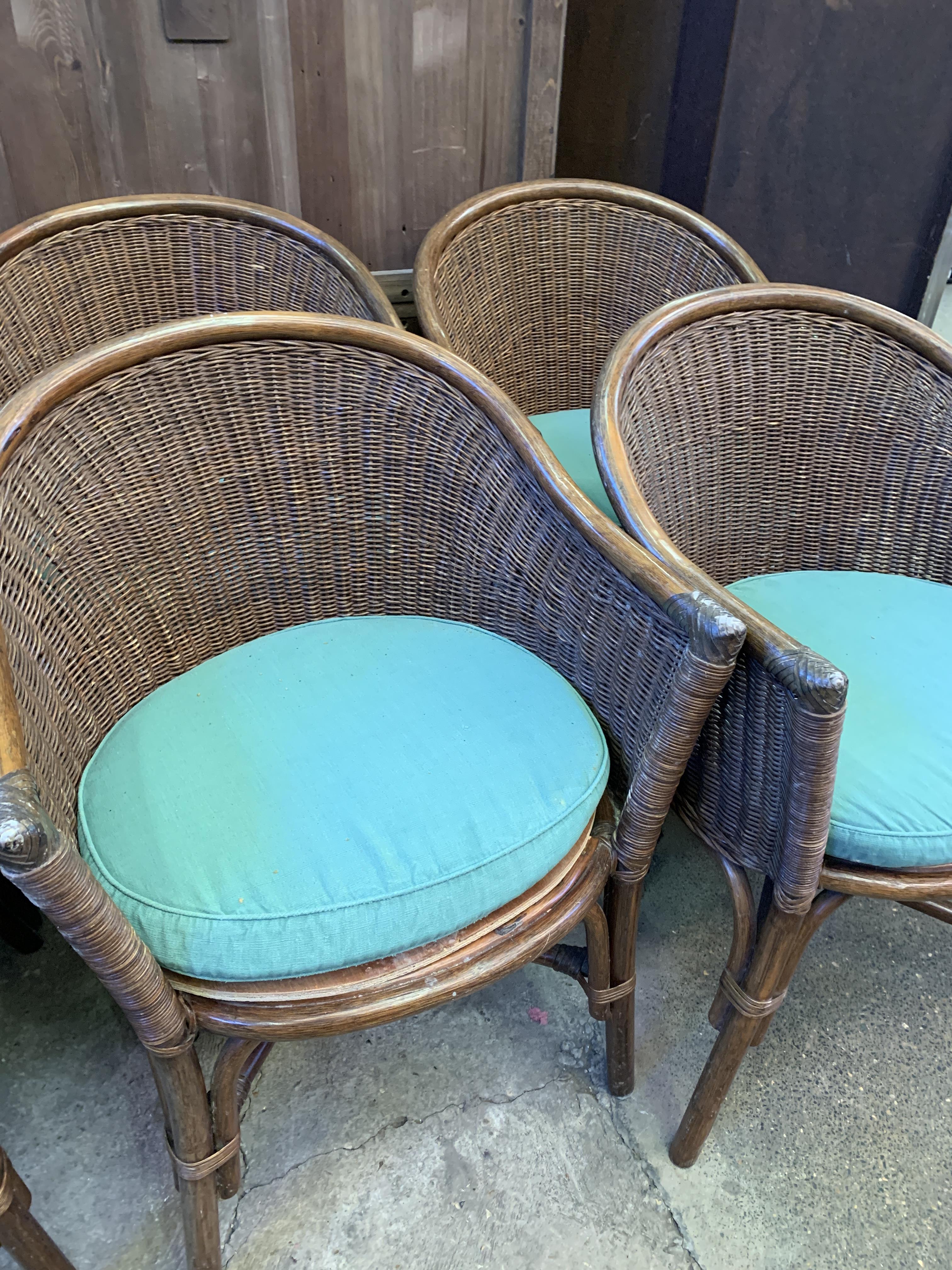Eight cane conservatory chairs - Image 7 of 10