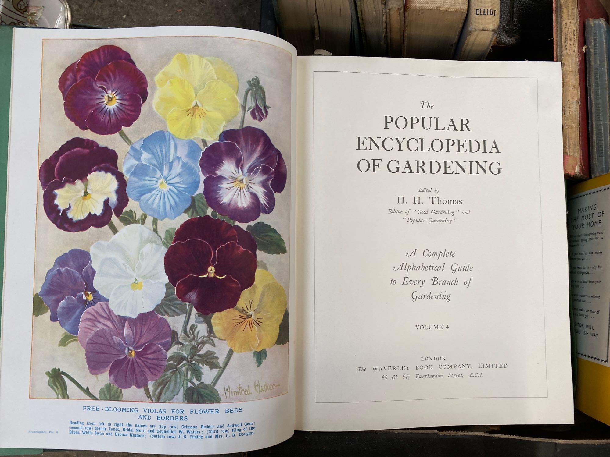 The Popular Encyclopedia of Gardening and other books - Image 7 of 11