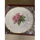 Two boxed hand painted plates