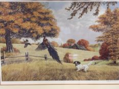 Four framed and glazed limited edition prints of birds, signed Ken Michaelsen