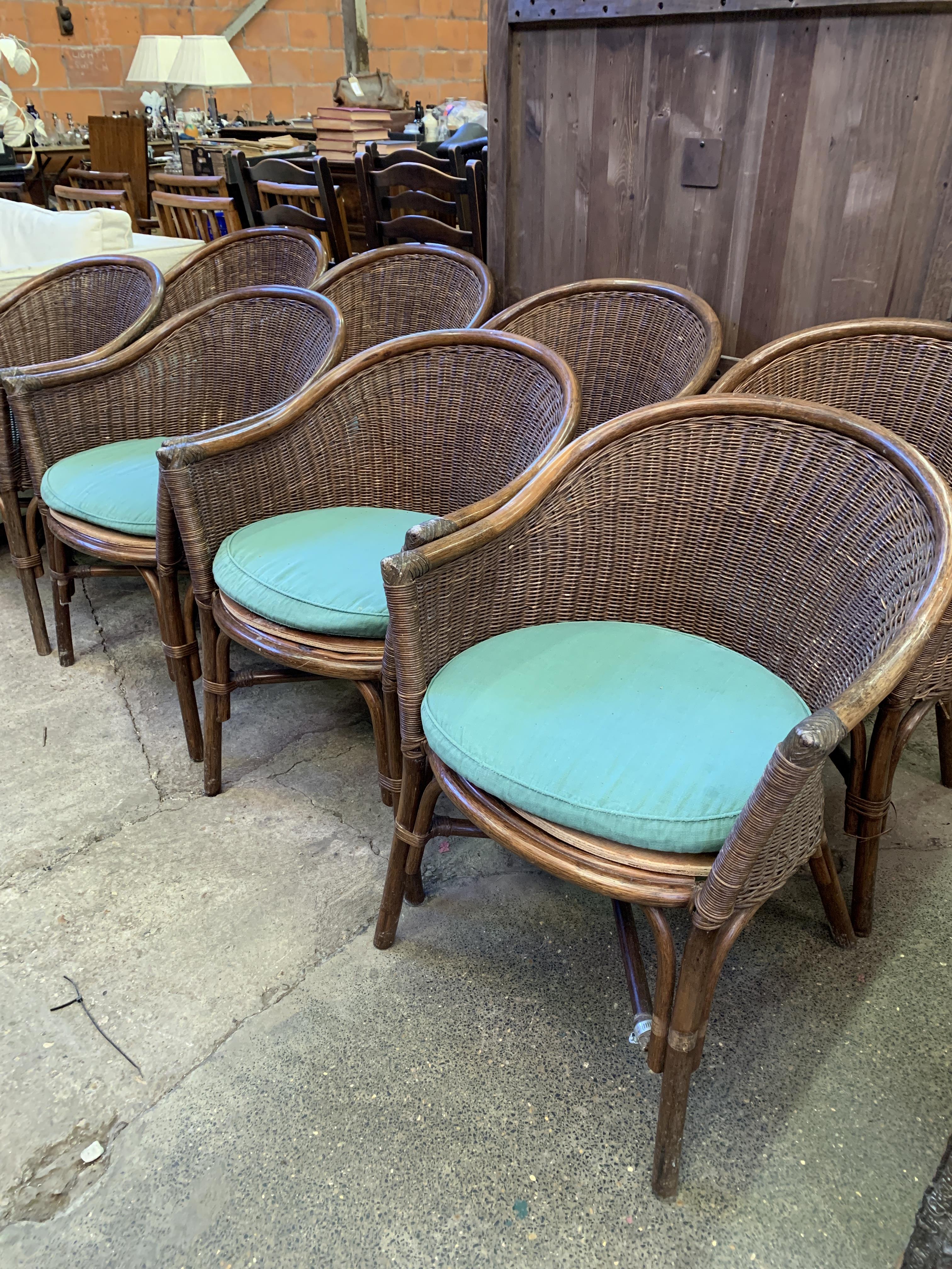 Eight cane conservatory chairs - Image 10 of 10
