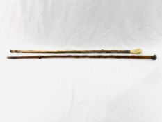 Two wooden walking sticks