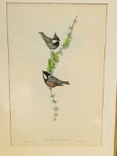 A set of nine gilt framed and glazed prints of birds by J Gould and H C Richter