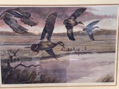 Four framed and glazed limited edition prints of birds, signed Ken Michaelsen