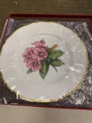 Two boxed hand painted plates