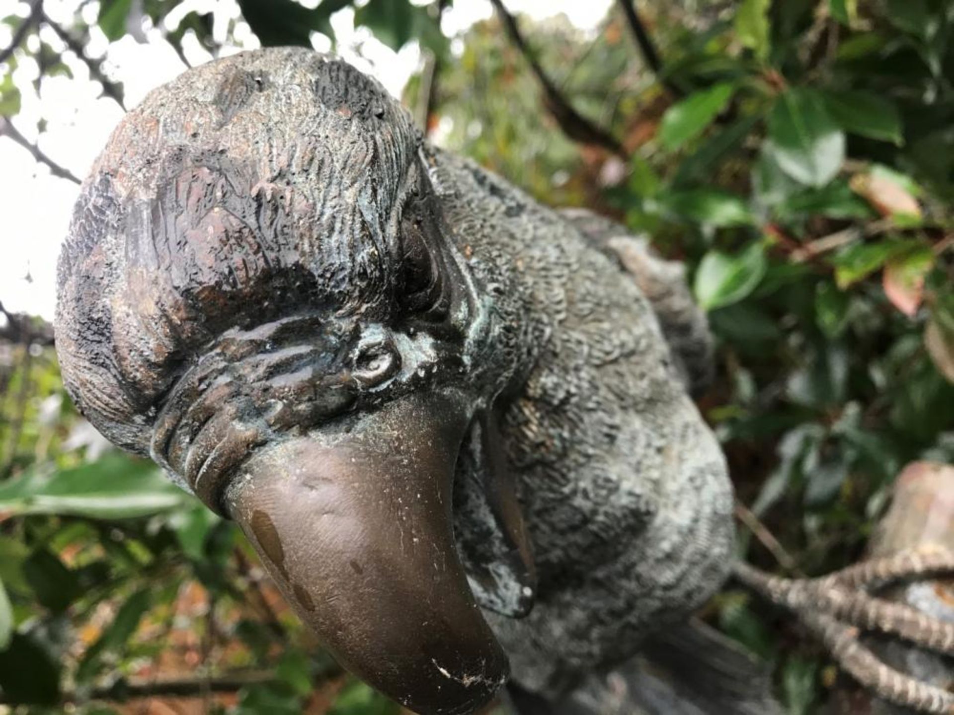 1 x Majestic Looking Lifelike Giant Bronze Oversized Parrot On Perch Garden Sculpture - - Image 7 of 9