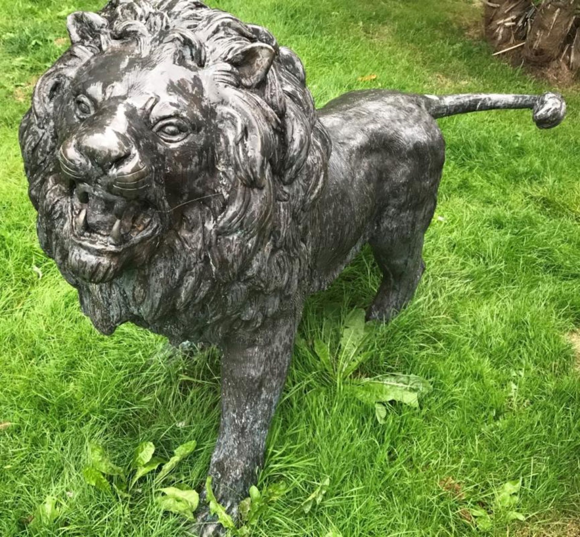 1 x Majestic Realistic Giant 1.6 Metre Tall Bronze Standing Male Lion Garden Sculpture, - Image 3 of 9