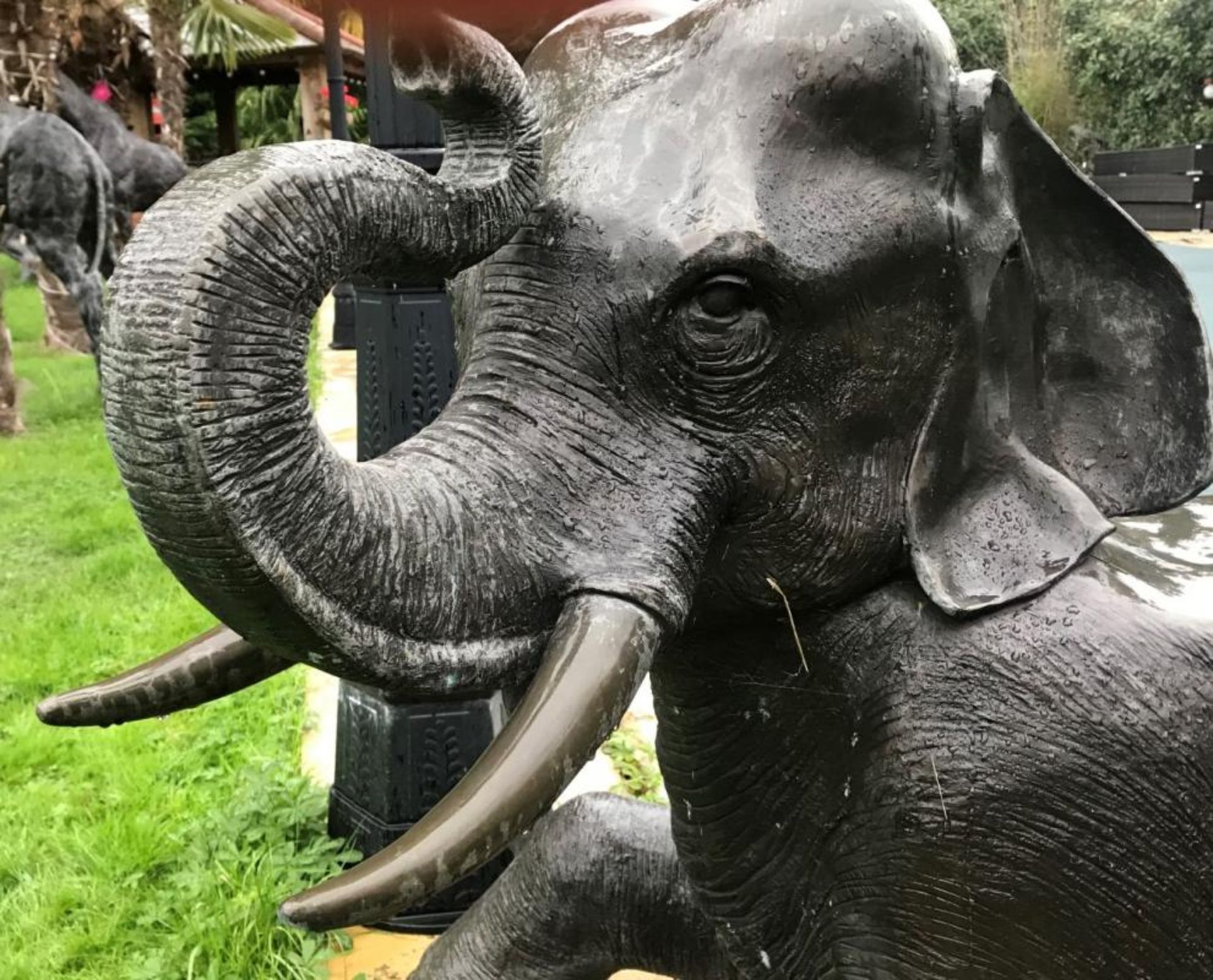 1 x Majestic Giant Bronze Baby Elephant Lifelike Sculpture, Formed With Seating - Extremely - Image 5 of 7