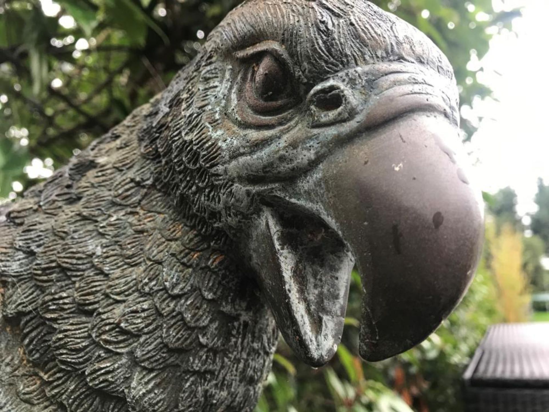 1 x Majestic Looking Lifelike Giant Bronze Oversized Parrot On Perch Garden Sculpture - - Image 5 of 9