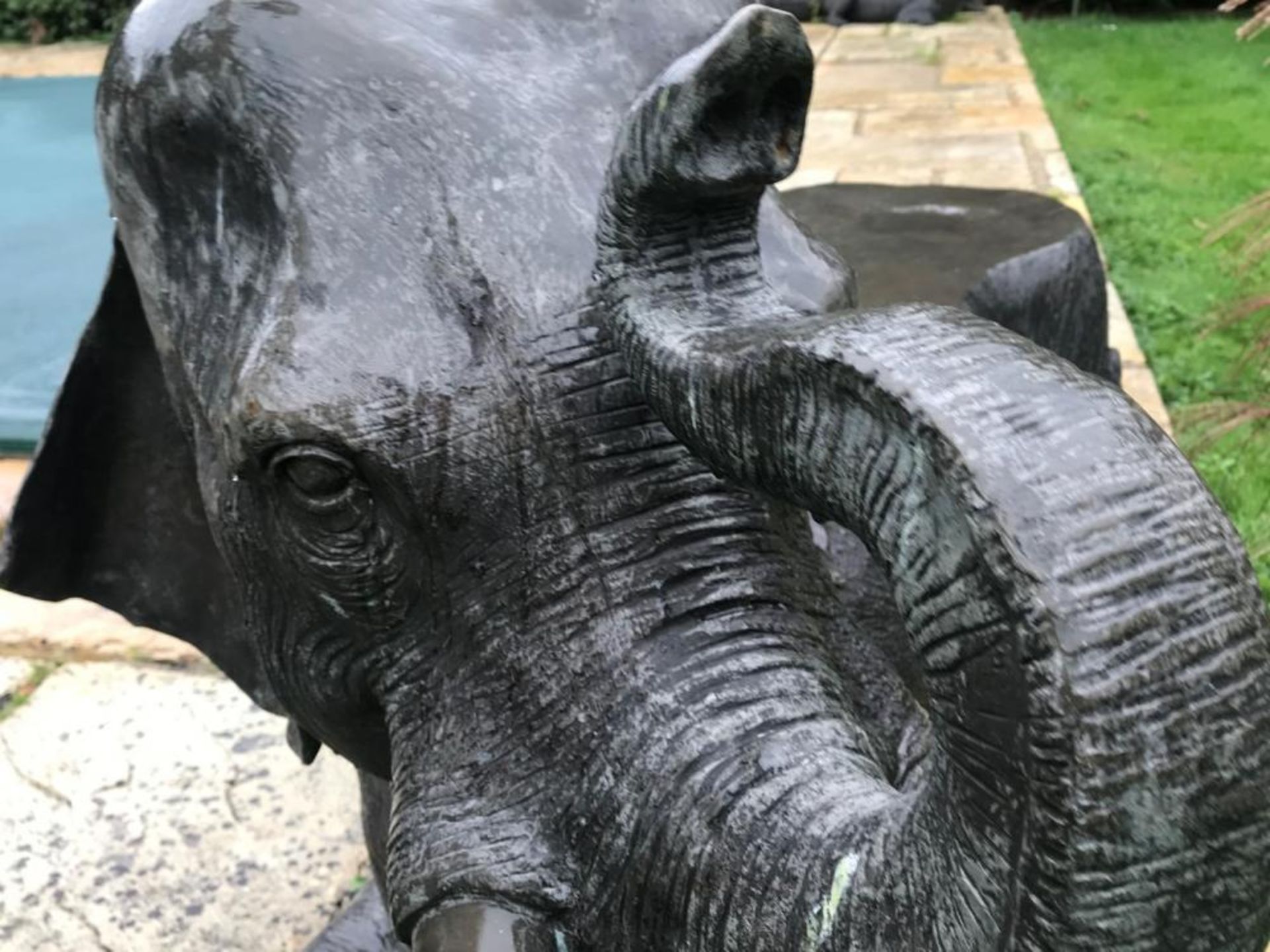 1 x Majestic Giant Bronze Baby Elephant Lifelike Sculpture, Formed With Seating - Extremely - Image 3 of 7